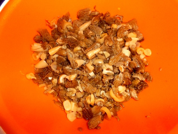 Smrčkovica z nášho lesa - obrázok 2