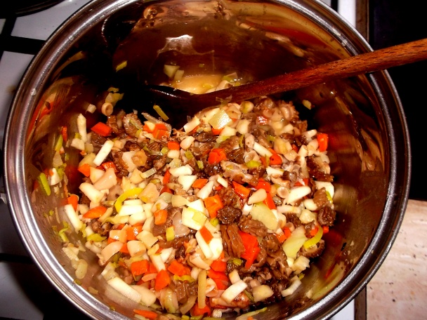 Smrčkovica z nášho lesa - obrázok 4