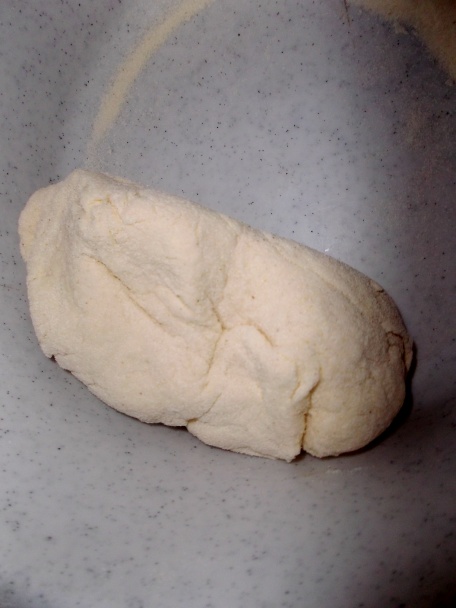 Smrčkovica z nášho lesa - obrázok 5