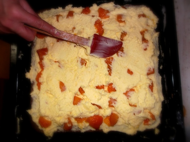 Zákusok Florida (fotorecept) - obrázok 11