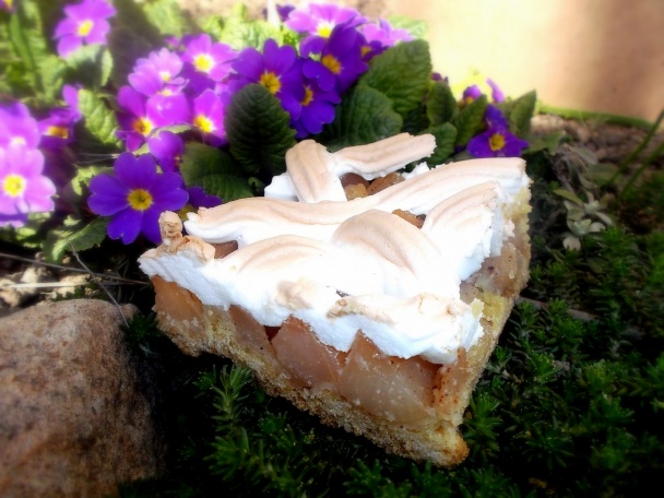 Hruškový mrežovník (fotorecept) - obrázok 8