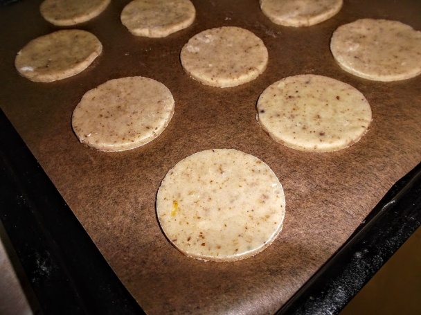 Orechový migron (fotorecept) - obrázok 4