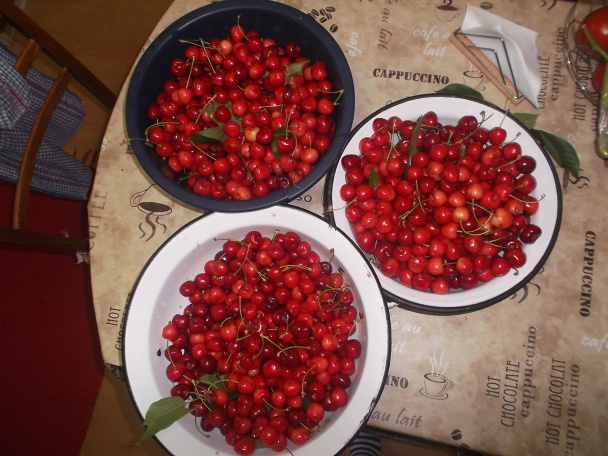 Sezónny čerešňový koláč s posýpkou a tvarohom (fotorecept) - obrázok 1