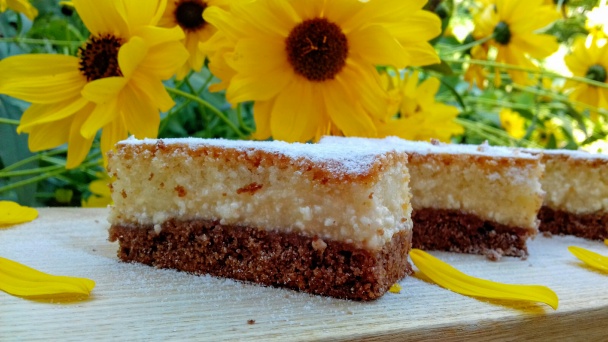 Tvarohovo-pudingový koláč s dvojakým cestom (fotorecept) - obrázok 6