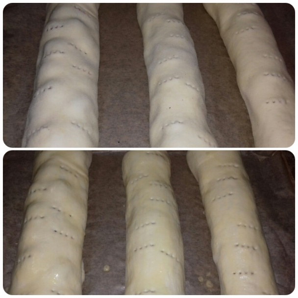 Orechovník a makovník tradičný u nás (fotorecept) - obrázok 5