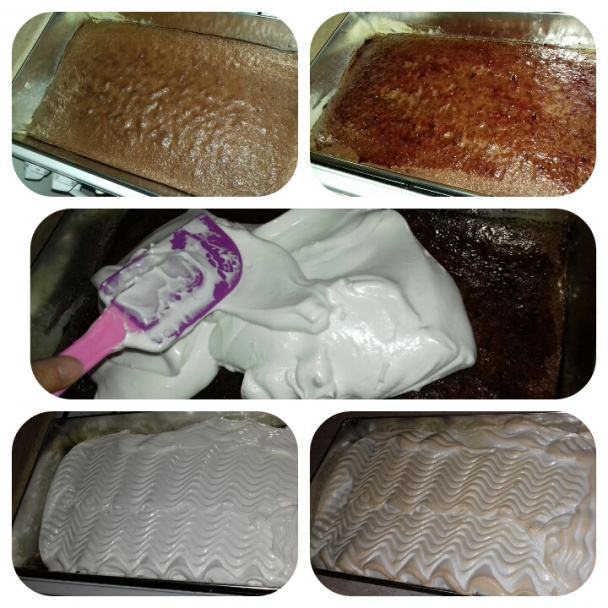 Nigerova kocka (fotorecept) - obrázok 5