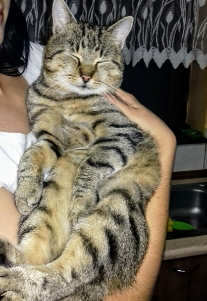 Kokosovo-lekvárový koláč (fotorecept)  - obrázok 9