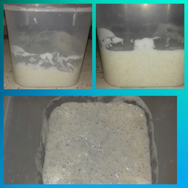 Kváskový cibuľový koláč (fotorecept) - obrázok 1