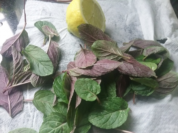 Gnocchi s paradajkovo-mätovou šťavou (fotorecept) - obrázok 5