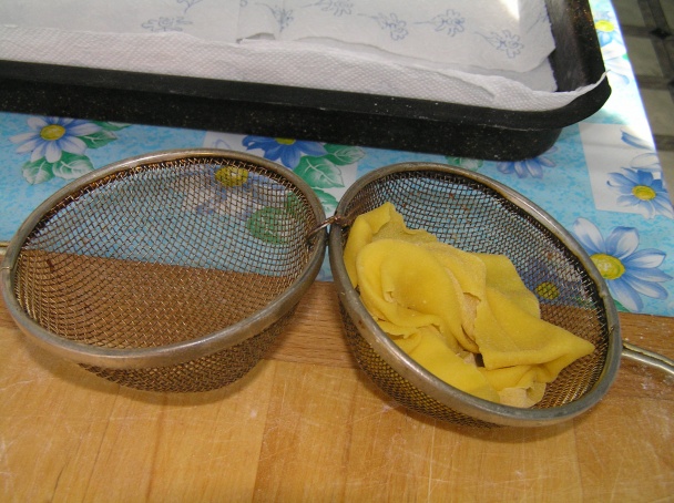 Fánky sitkové  - obrázok 3