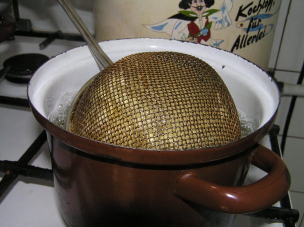 Fánky sitkové  - obrázok 4