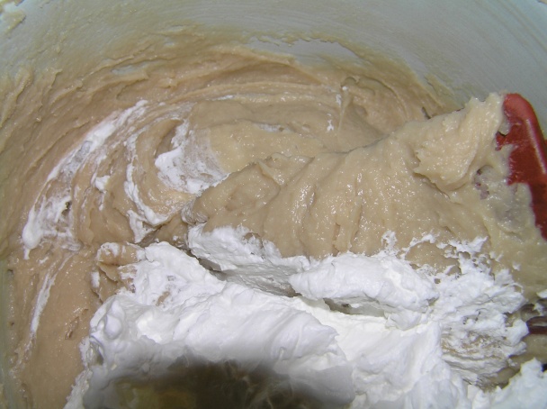 Rezy Bronhi (fotorecept) - obrázok 4