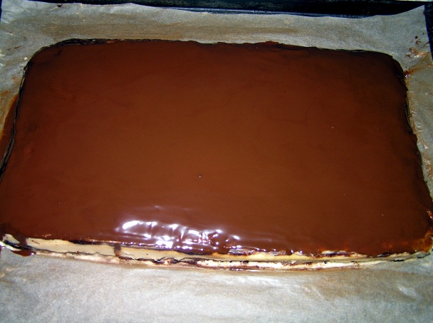 Rezy Bronhi (fotorecept) - obrázok 7