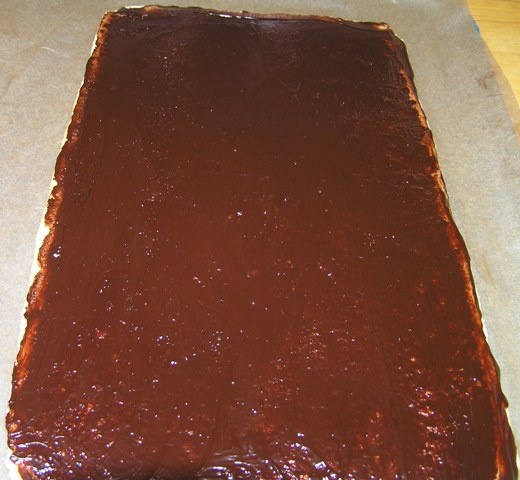 Rezy Bronhi (fotorecept) - obrázok 2