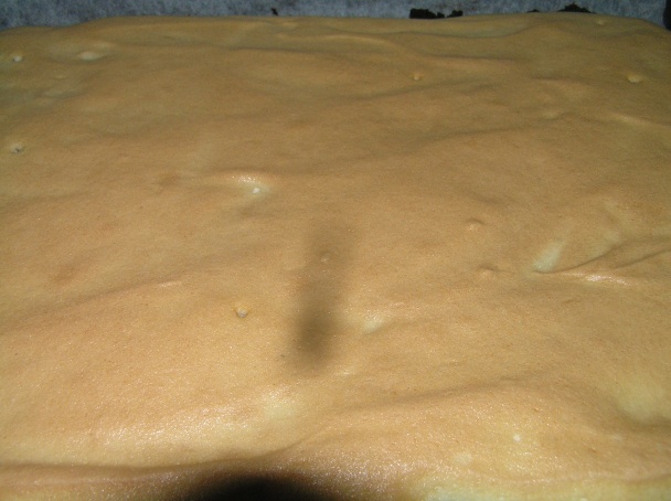 Dvojitý makový koláč (fotorecept) - obrázok 6