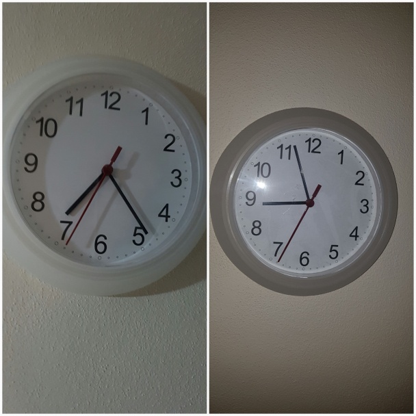 Hovädzie hocičo so zemiakovo-mrkvovým pyré (fotorecept) - obrázok 5