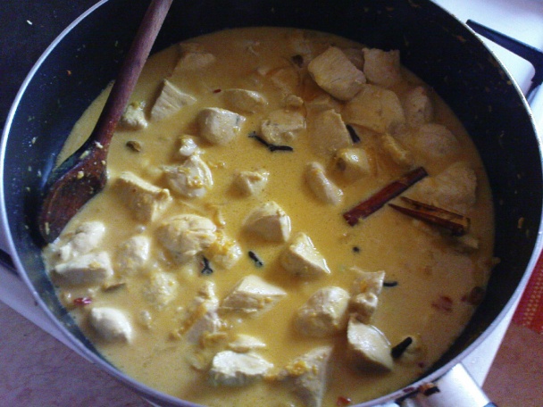 Chicken Molee (fotorecept) - obrázok 5