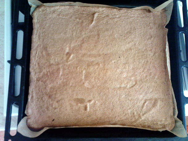 Eva rezy (fotorecept) - obrázok 4