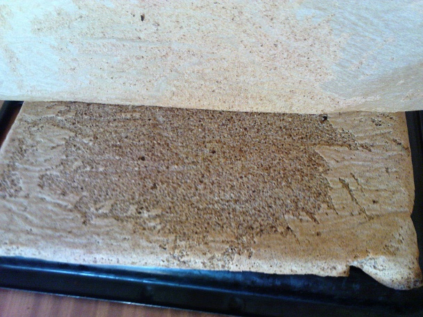 Eva rezy (fotorecept) - obrázok 6