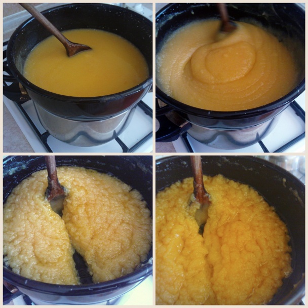 Eva rezy (fotorecept) - obrázok 8