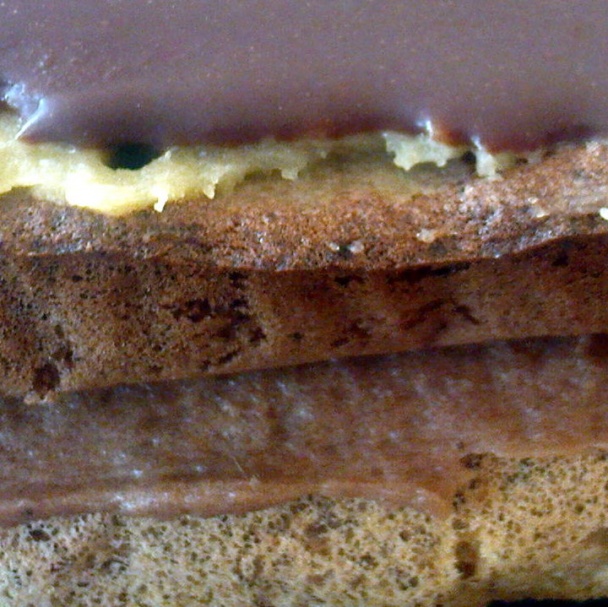 Eva rezy (fotorecept) - obrázok 11