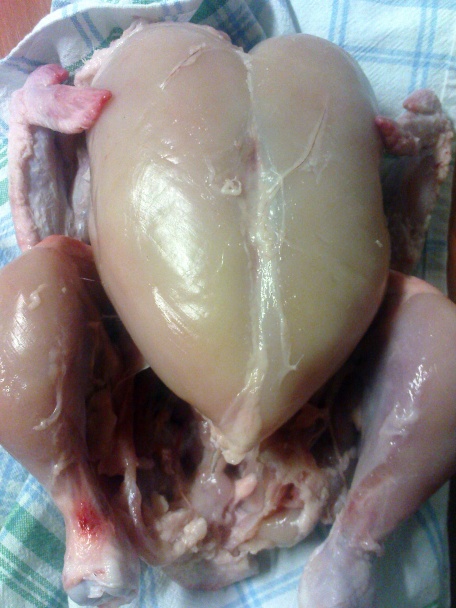 Tandoori kura - obrázok 1