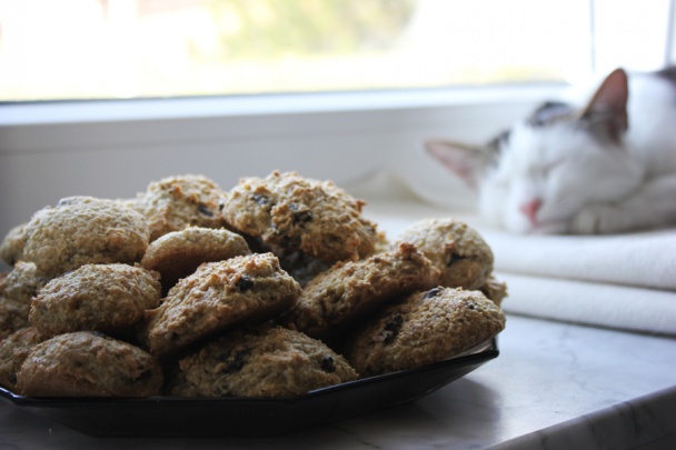 Oreo-kokosové sušienky s kešu (fotorecept) - obrázok 7