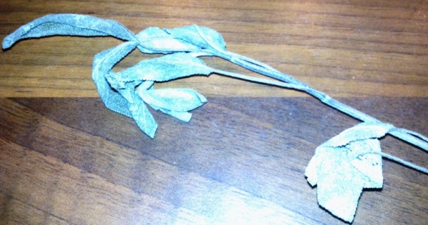 Kurča á la živánska (fotorecept) - obrázok 2