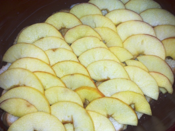 Pavučinková žemľovka (fotorecept) - obrázok 3