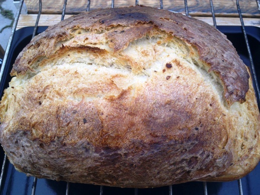 Veľkonočný chlieb mojej svokry (fotorecept) - obrázok 10