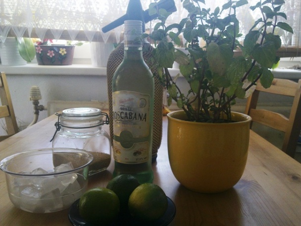 Mojito (fotorecept) - obrázok 1