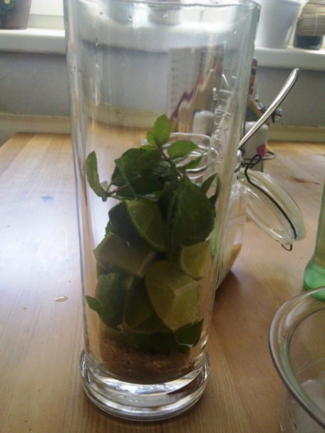 Mojito (fotorecept) - obrázok 3