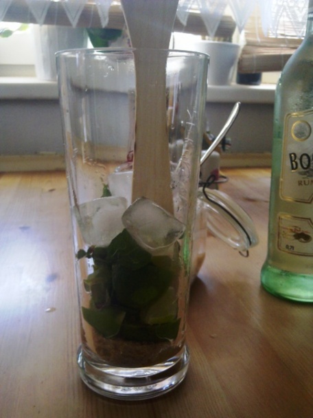 Mojito (fotorecept) - obrázok 4