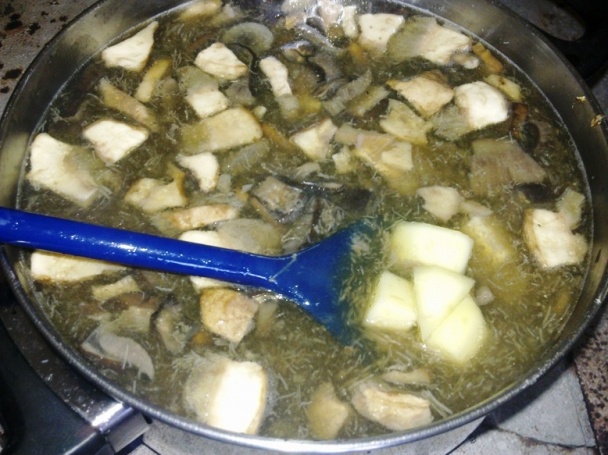 Kulajda (fotorecept) - obrázok 2