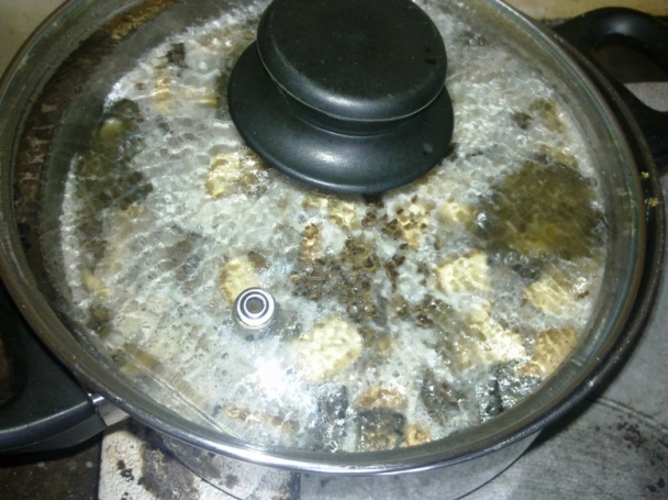 Kulajda (fotorecept) - obrázok 3