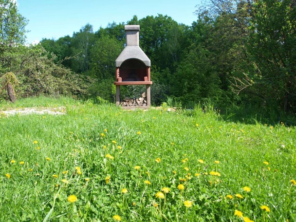 Púpavový med najlepší na svete (fotorecept) - obrázok 1