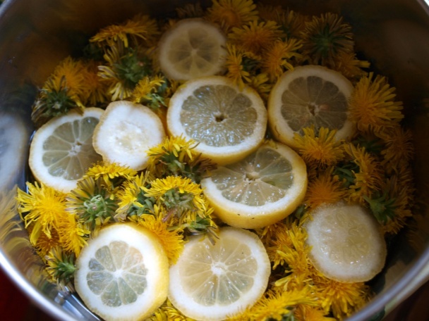 Púpavový med najlepší na svete (fotorecept) - obrázok 4