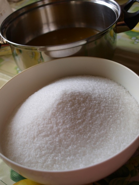 Púpavový med najlepší na svete (fotorecept) - obrázok 8