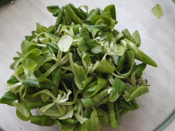 Jarný šalát s mozzarellou (fotorecept) - obrázok 2