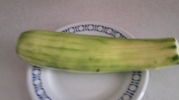 Cuketová pizza (fotorecept) - obrázok 1