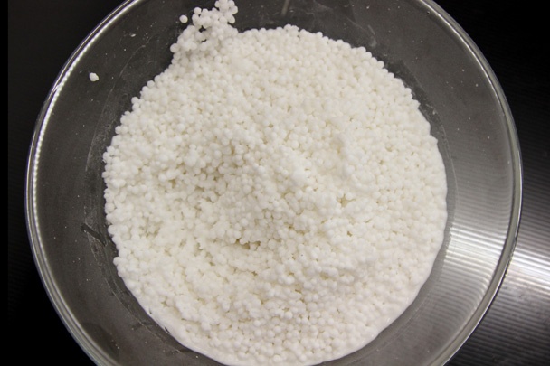 Tapiokový puding so skaramelizovanými hruškami a kardamómom - obrázok 1