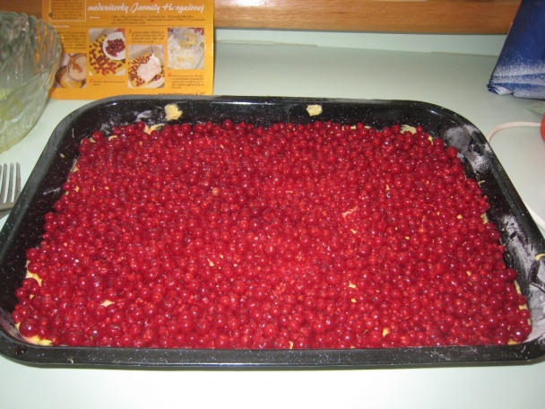 Ríbezľový koláč s penou - obrázok 5