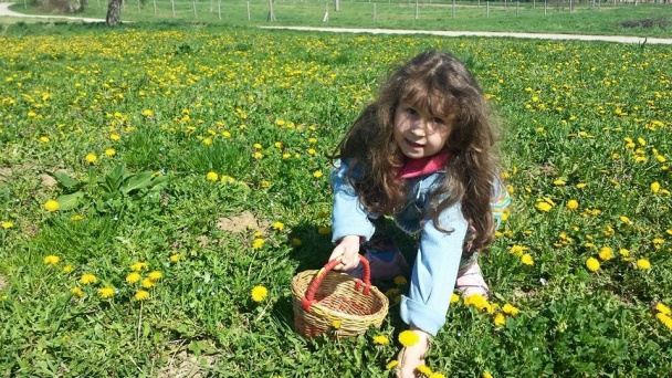 Púpavový med  (fotorecept) - obrázok 2