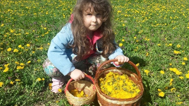 Púpavový med  (fotorecept) - obrázok 4