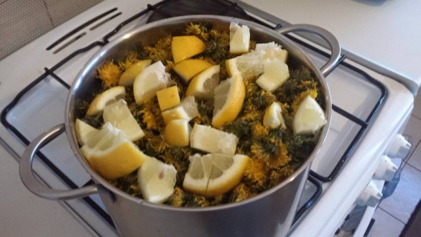 Púpavový med  (fotorecept) - obrázok 5