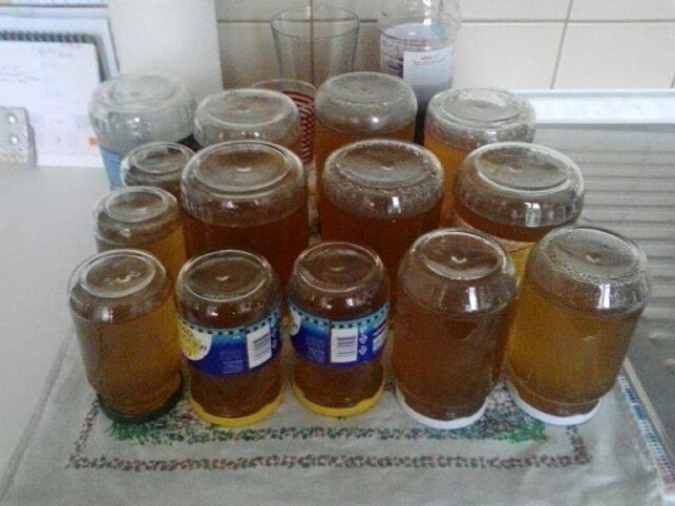 Púpavový med  (fotorecept) - obrázok 8