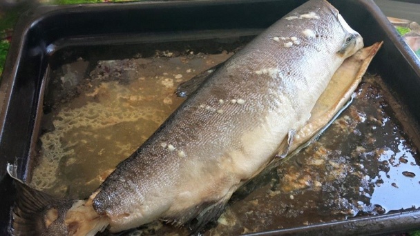 Ľahká večera s lososom (fotorecept) - obrázok 1