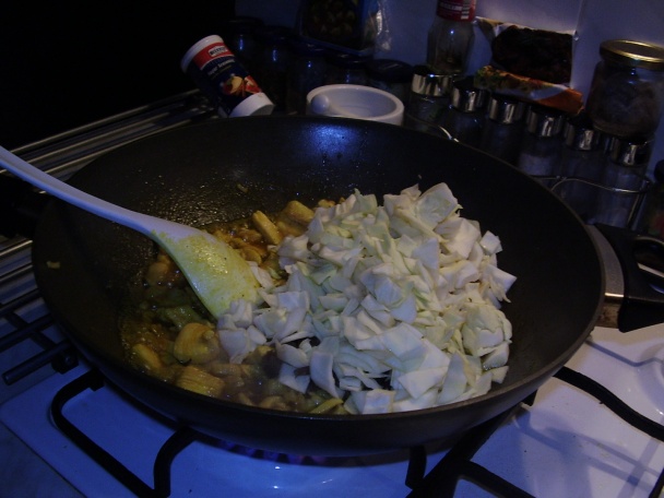 Moja čína z woku (fotorecept) - obrázok 4