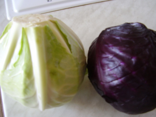 Dusená kapusta (fotorecept) - obrázok 1