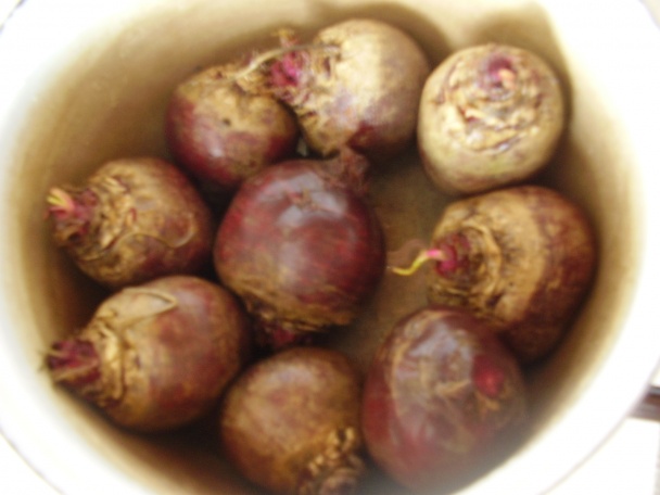 Cviklový šalát (fotorecept) - obrázok 1